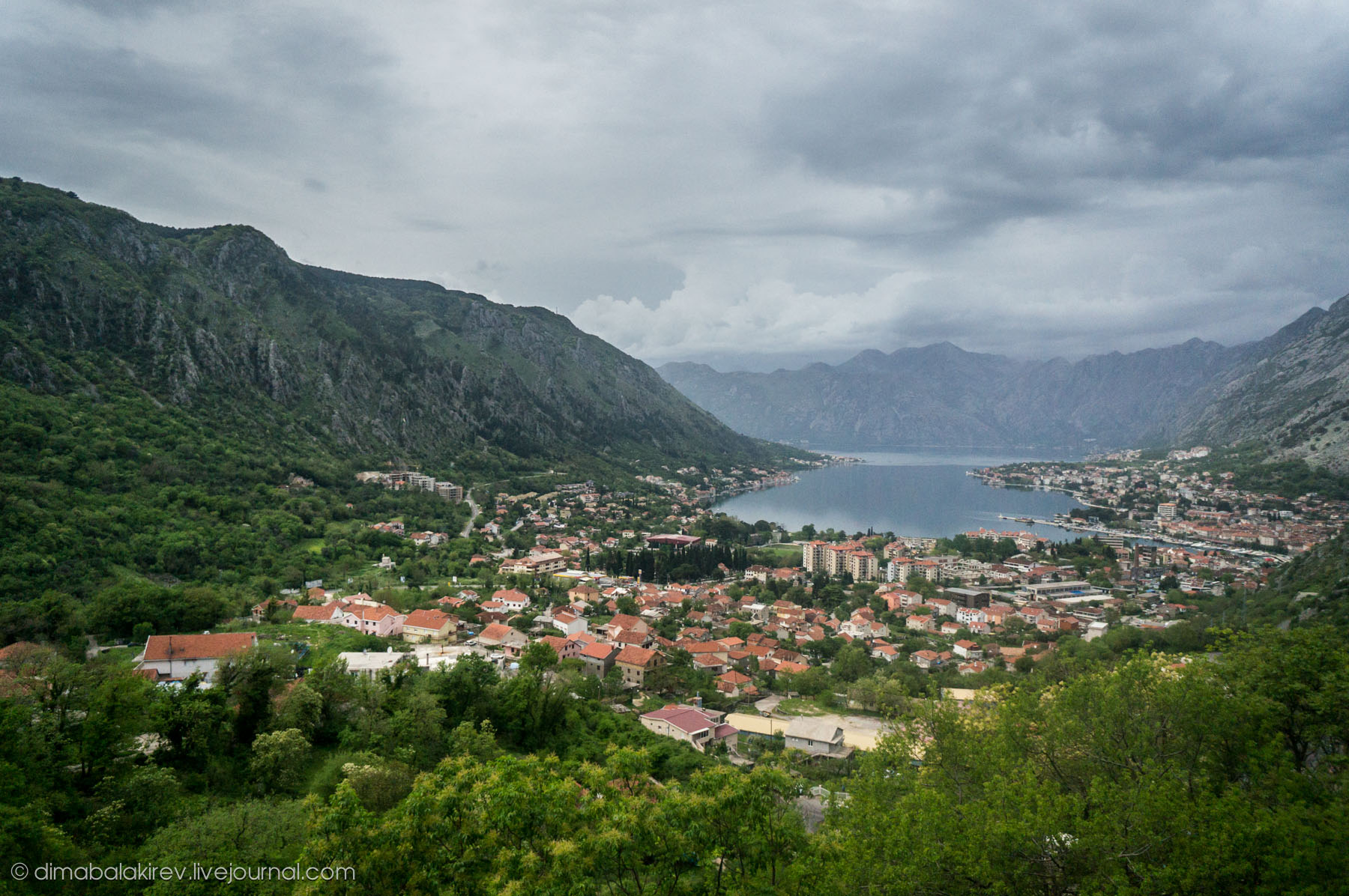 Kotor